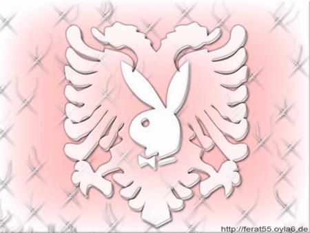 playboykosova